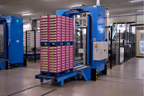 Food Processing & Packaging